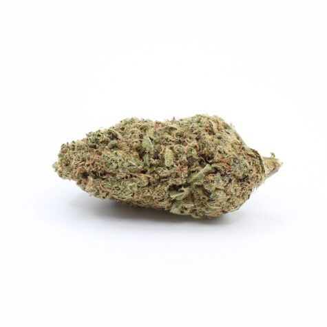 Flower Amnesia Pic3 - Cannabis Deals In Canada