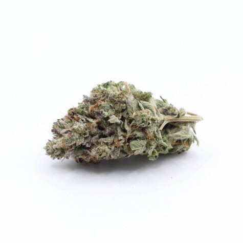 Flower JellyBreath Pic2 - Cannabis Deals In Canada