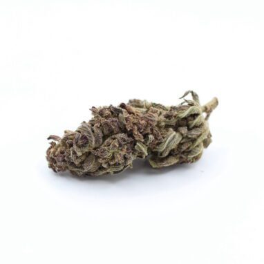Apricot GH (28 Grams)
