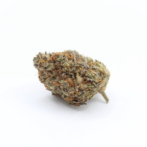 Flower Chocolope Pic2 - Cannabis Deals In Canada