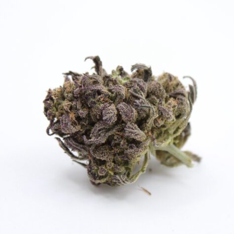 Flower PurpHaze Pic2 - Cannabis Deals In Canada