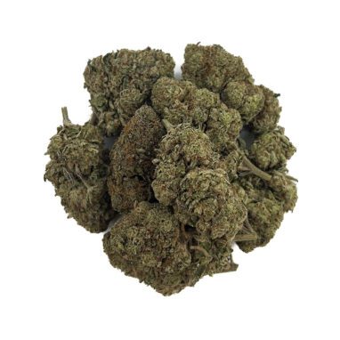 Gummy Bear (28 Grams)