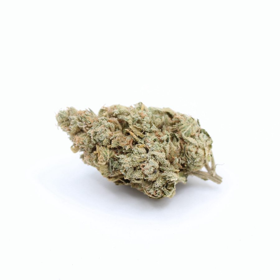 Flower Hashplant Pic1 - Cannabis Deals In Canada