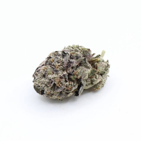 Flower Plat Pink Pic3 - Cannabis Deals In Canada