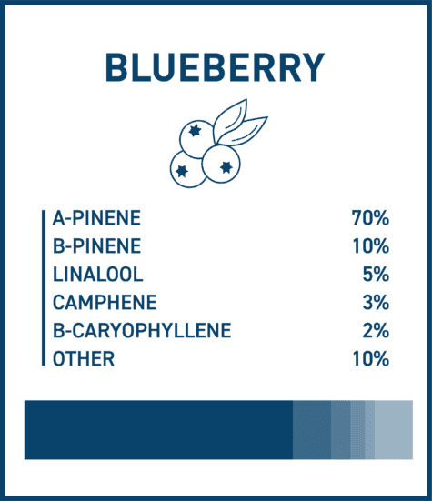 blueberryprofile - Cannabis Deals In Canada