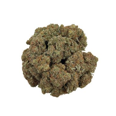 Red Congolese *DOOR CRASHER* (28 Grams)