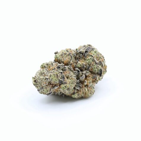 Key Lime Pie (28 grams)