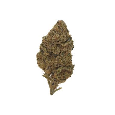 Violet Fog (28 Grams) *DOOR CRASHER*