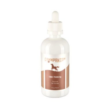 Cannpanion CBD Tincture | Horses | 7500MG CBD