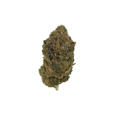 Cherry Sherbet (28 Grams)