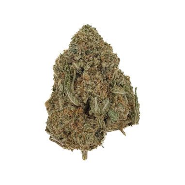 Jack Herer – 28 Grams