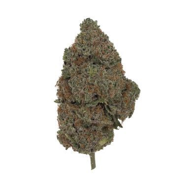 Girl Scout Cookies – 28 Grams