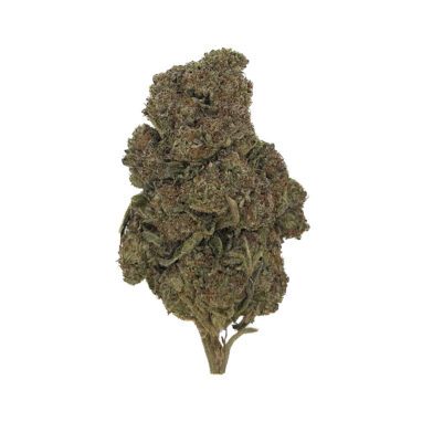 OGK Berry *DOOR CRASHER* – 28 Grams