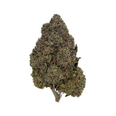Frosted Gelato – 28 Grams