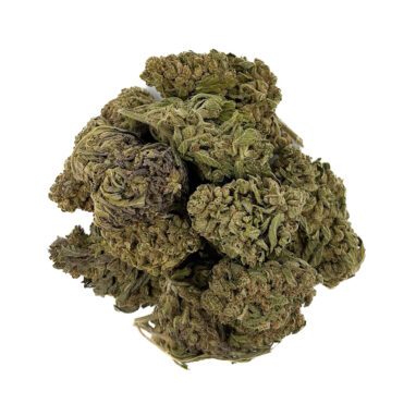 Orange Sherbet – Greenhouse – 28 Grams