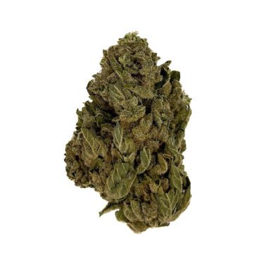 Orange Sherbet – Greenhouse – 28 Grams