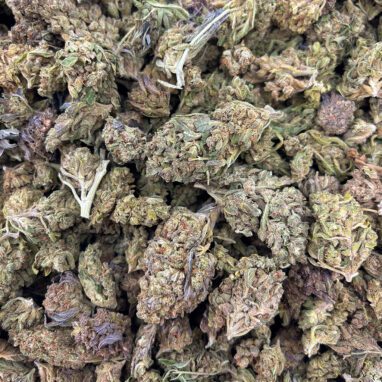Orange Sherbet – Greenhouse – Half Pound