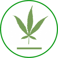 buy-bud-now-hybrid-category-13-21-001 buy-bud-now-hybrid-category-13-21-001