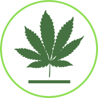 buy-bud-now-indica-category-13-21-003 buy-bud-now-indica-category-13-21-003