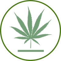 buy-bud-now-sativa-category-13-21-003 buy-bud-now-sativa-category-13-21-003
